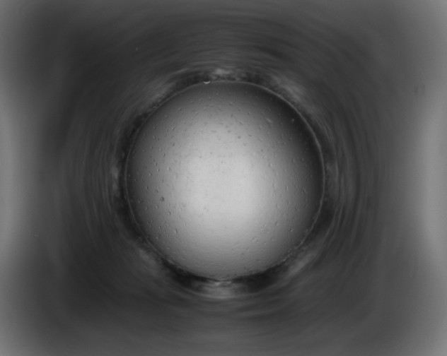 X0000086330269200704131728