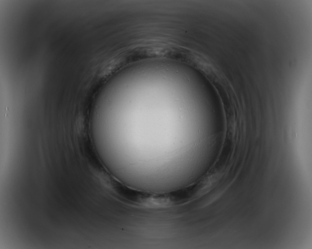 X0000086330270200704131728