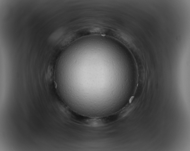 X0000086330273200704131728