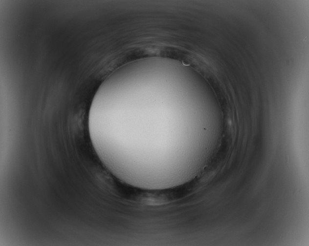 X0000086330275200704131728