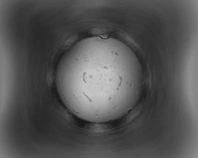 X0000086330277200704131728