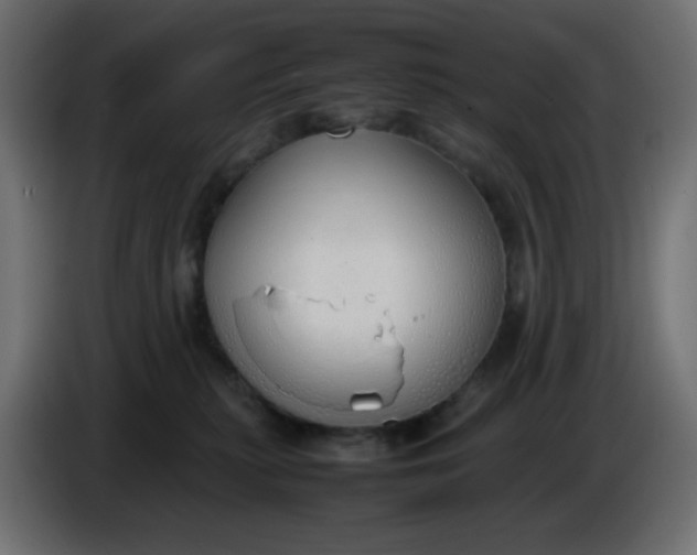 X0000086330279200704131728