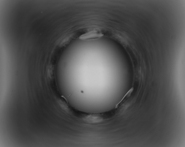 X0000086330280200704131728