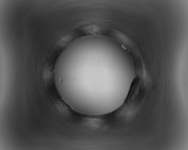 X0000086330284200704131728