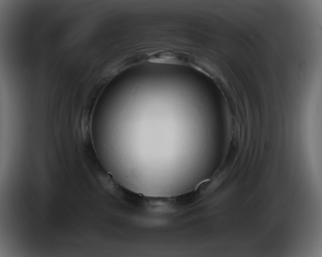 X0000086330285200704131728