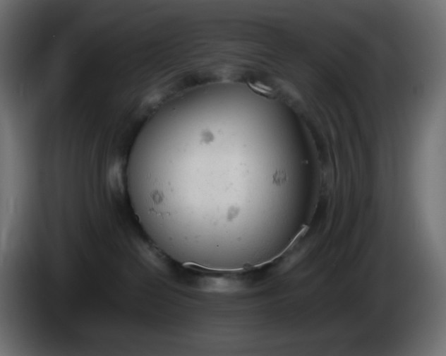 X0000086330286200704131728