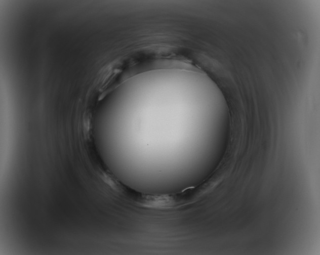 X0000086330288200704131728