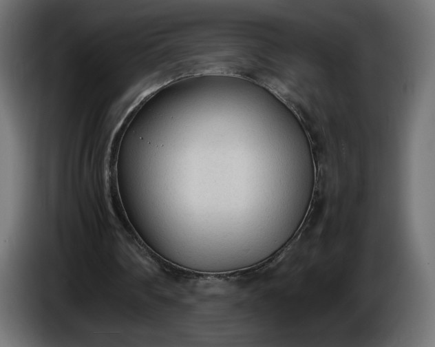 X0000086330290200704131727