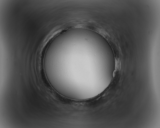 X0000086330291200704131727