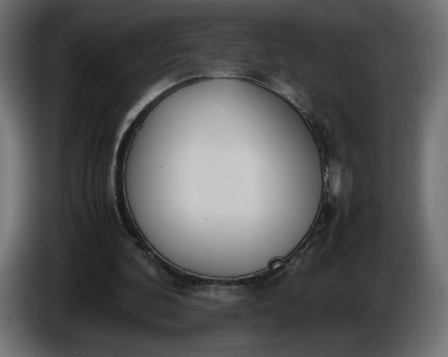 X0000086330292200704131727