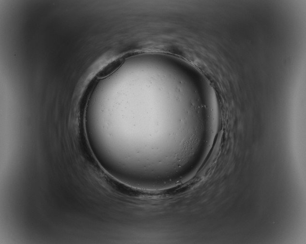 X0000086330295200704131727