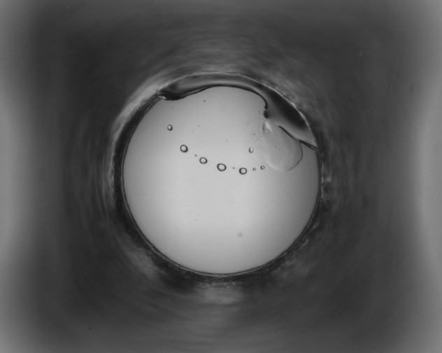 X0000086330296200704131727