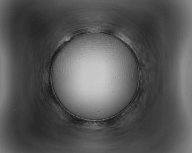 X0000086330297200704131727