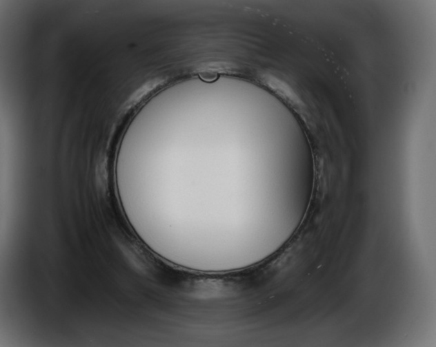 X0000086330298200704131727