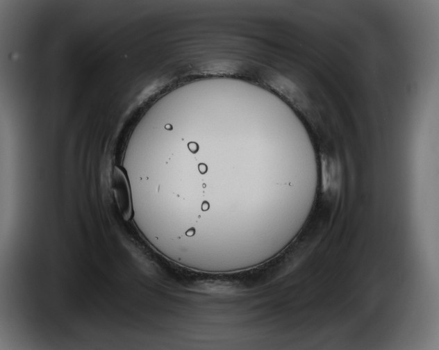 X0000086330300200704131727