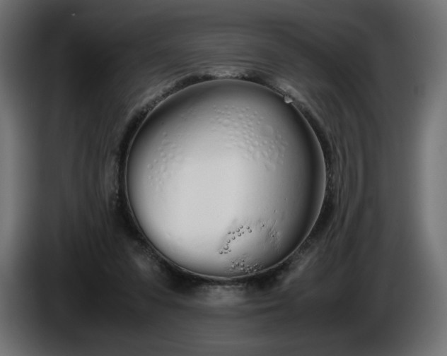 X0000086330303200704131727