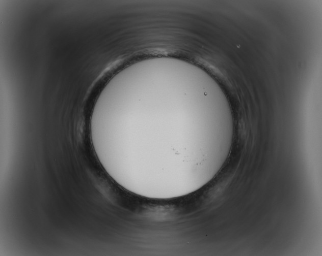 X0000086330304200704131727