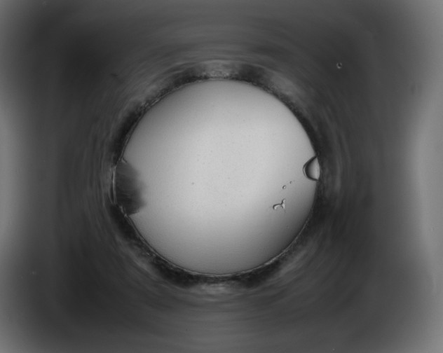 X0000086330307200704131727