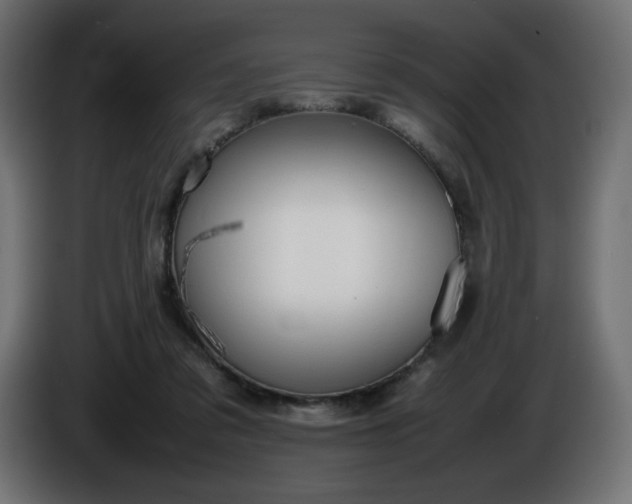 X0000086330309200704131727