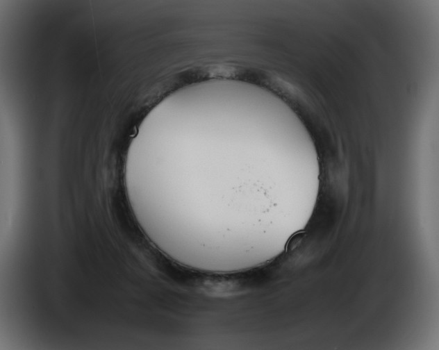 X0000086330311200704131727