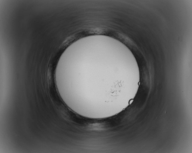 X0000086330312200704131727