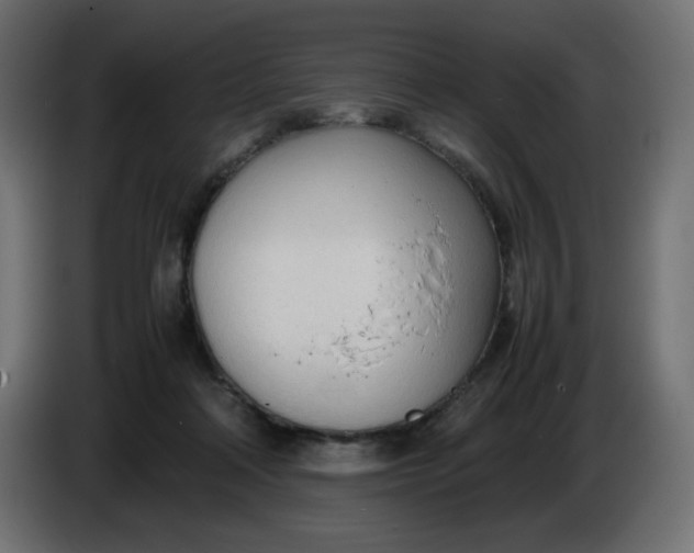 X0000086330314200704131727