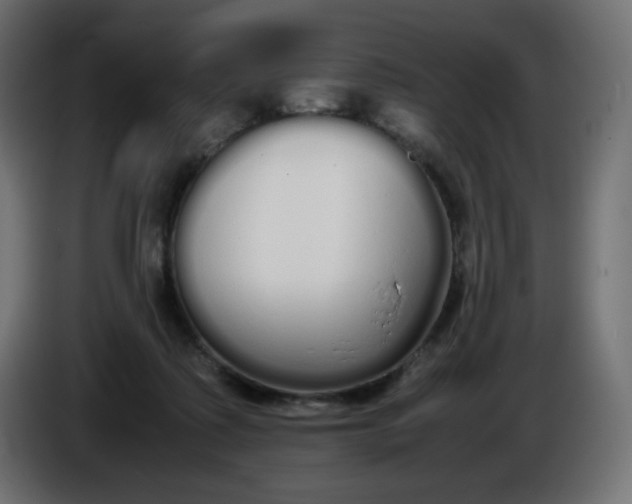 X0000086330315200704131727