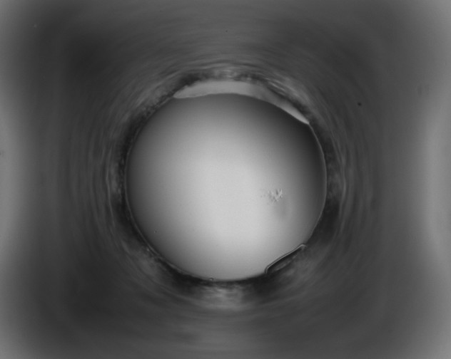 X0000086330317200704131727