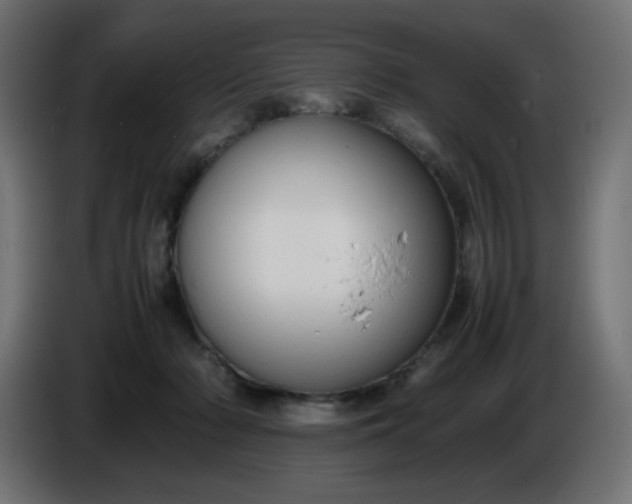 X0000086330318200704131727