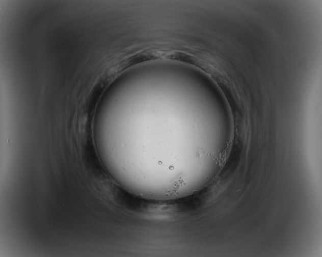 X0000086330319200704131727