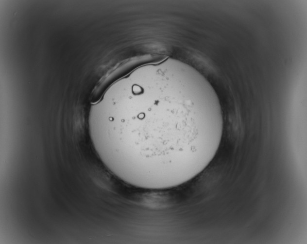 X0000086330320200704131727