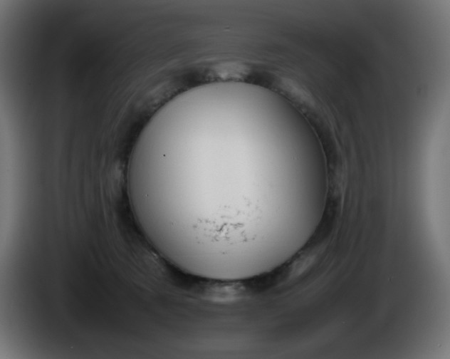 X0000086330321200704131727