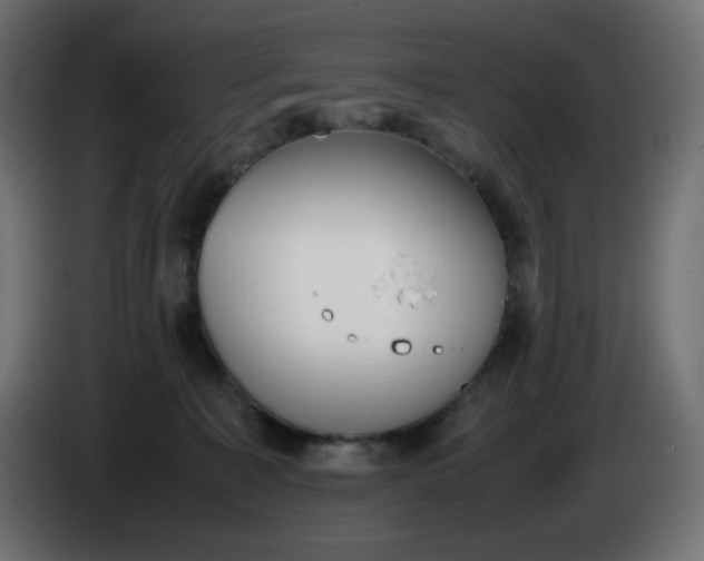 X0000086330323200704131727