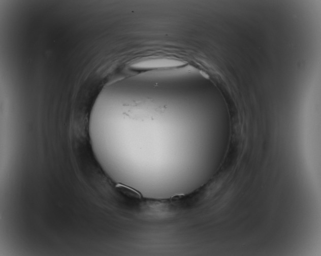 X0000086330325200704131727