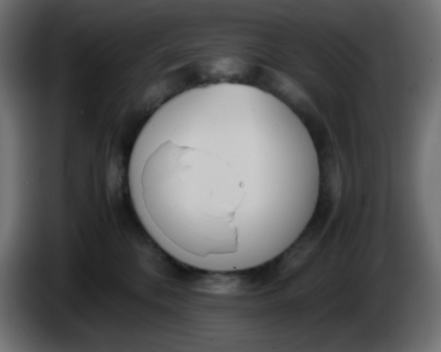 X0000086330328200704131727