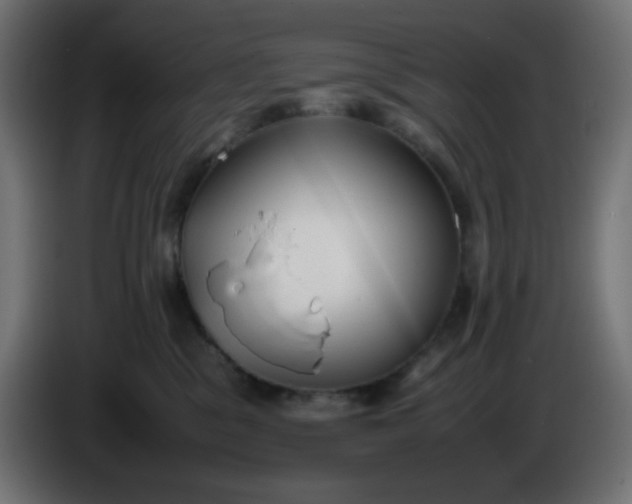 X0000086330329200704131726