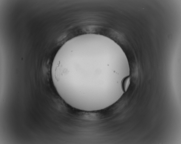 X0000086330332200704131726