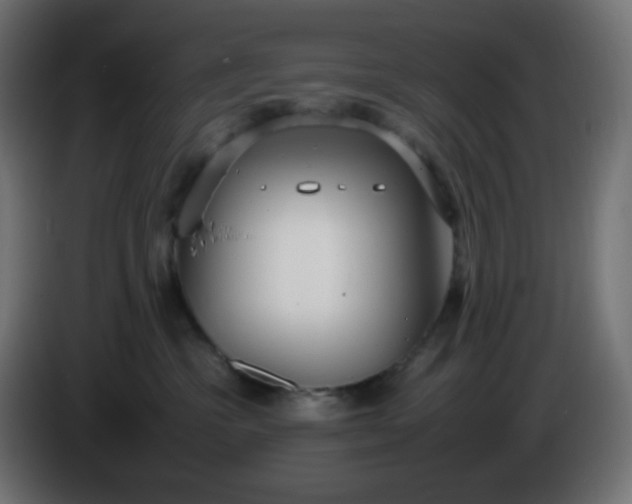 X0000086330333200704131726