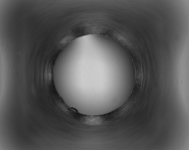 X0000086330334200704131726