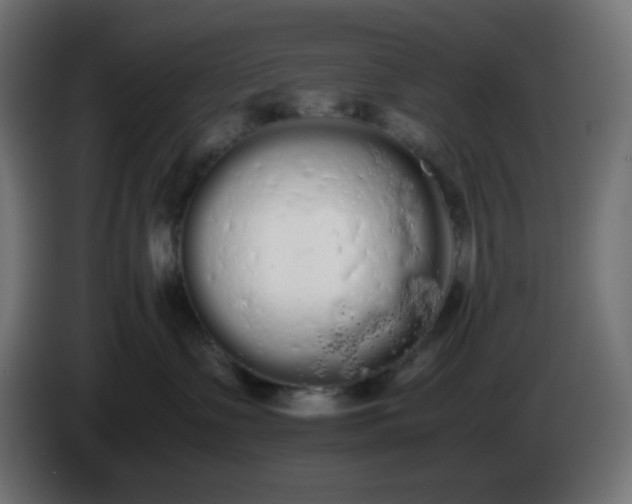 X0000086330335200704131726