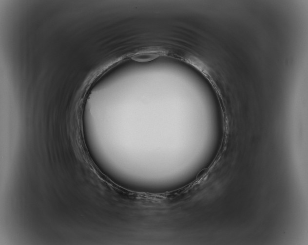 X0000086330337200704131726