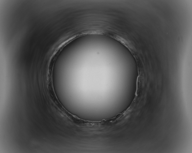 X0000086330338200704131726