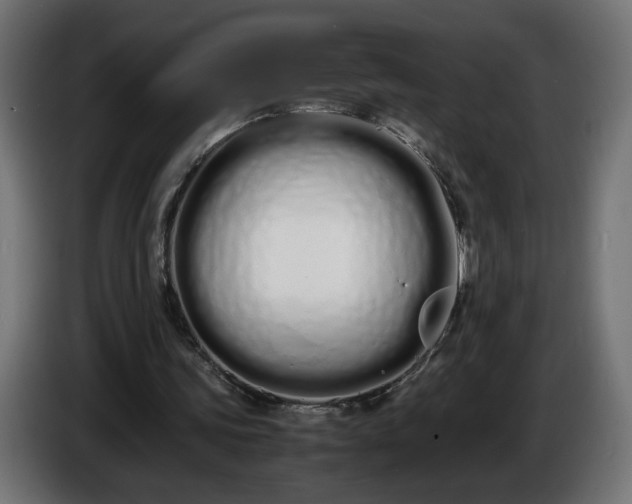 X0000086330339200704131726