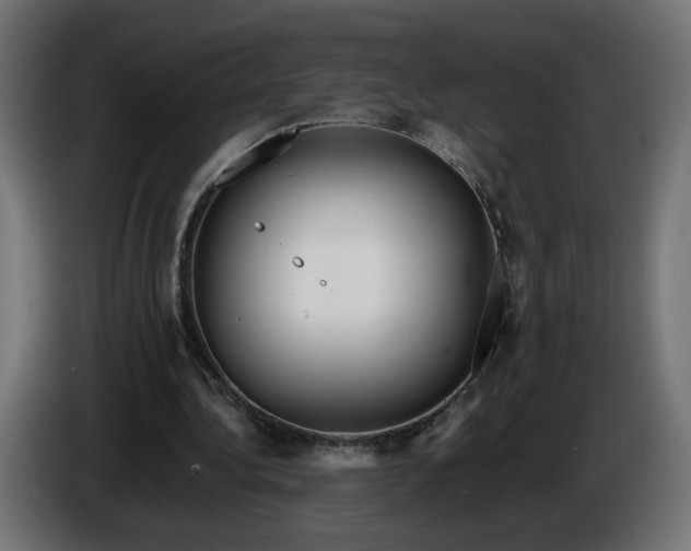 X0000086330340200704131726