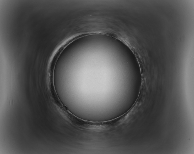 X0000086330342200704131726