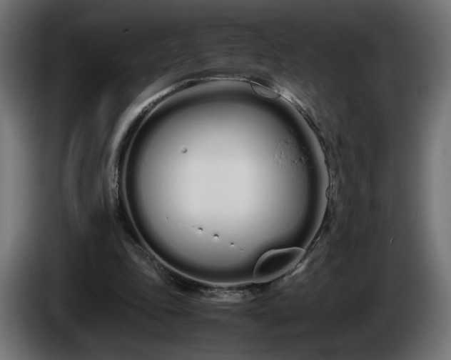 X0000086330343200704131726