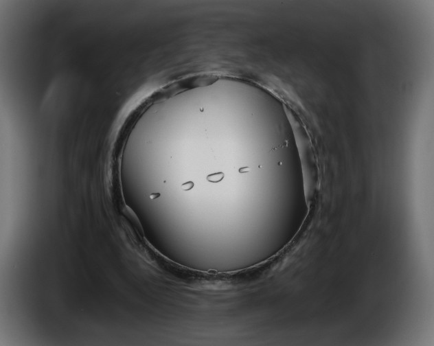 X0000086330344200704131726