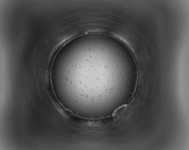 X0000086330345200704131726