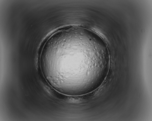 X0000086330346200704131726