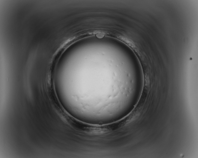 X0000086330347200704131726